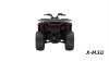 Квадроцикл Segway AT5 SХ