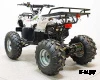 Квадроцикл GreenCamel Атакама T220 (48V 1000W R8 Дифференциал) пониженная