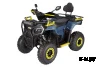 Квадроцикл Avantis Ray 200 Premium