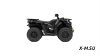 Квадроцикл Segway AT5 SХ
