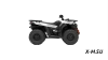 Квадроцикл Segway AT5 SХ