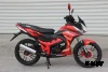 Мопед PROMAX STREET CROSS 150 (49) АКЦИЯ
