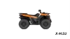 Квадроцикл Segway AT5 SХ