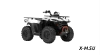 Квадроцикл Segway AT5 SХ