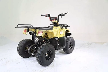 Квадроцикл MOTOLAND (МОТОЛЕНД) 110 RIDER