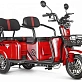 Трицикл ELTRECO Rutrike Экипаж
