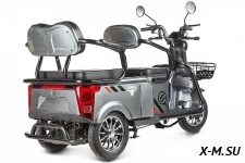 Трицикл ELTRECO Rutrike Экипаж
