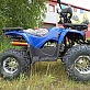 КВАДРОЦИКЛ PROMAX WILD 180 PRO