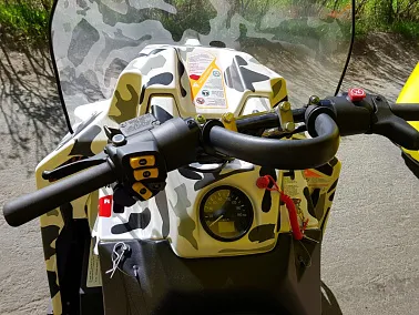 Камуфлирование снегоходов STELS